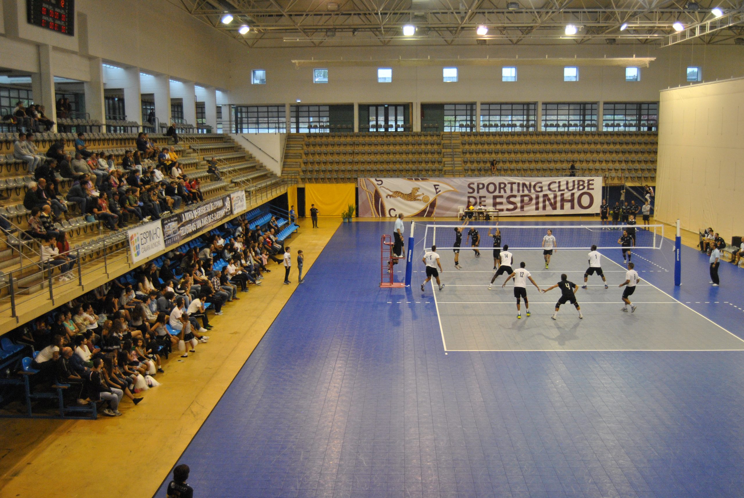 Voleibol: Tigres vencem em S. Mamede de Infesta