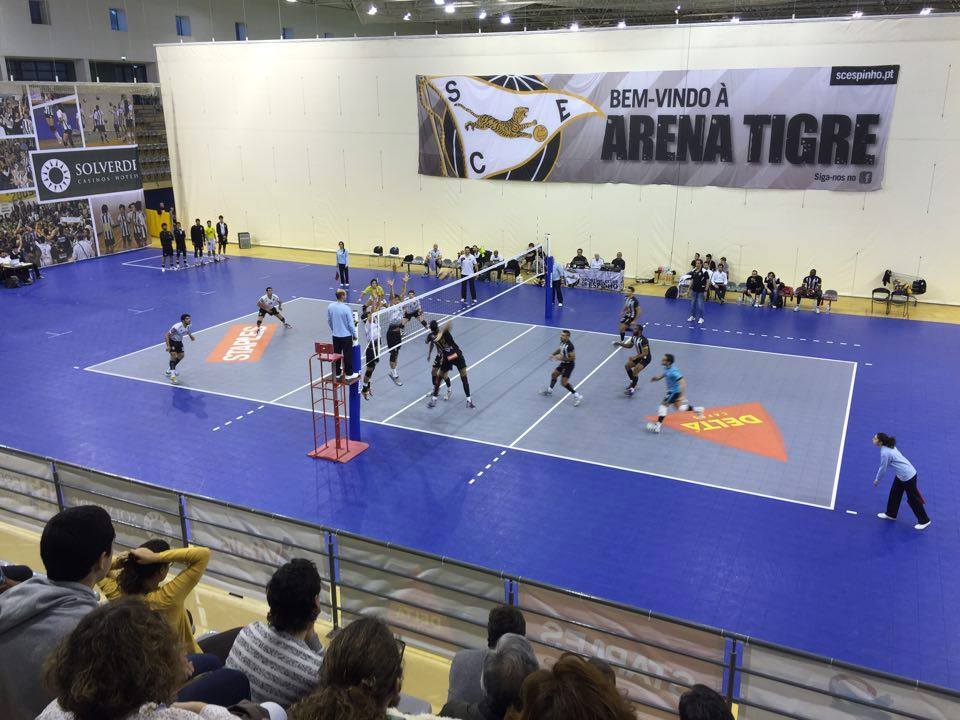 Voleibol: Tigres fecham 2015 a vencer