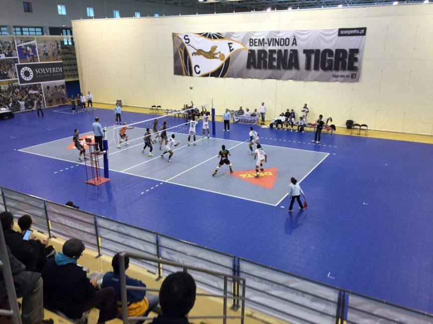 Voleibol: Tigres demolidores SC Espinho 3-0 AAS Mamede