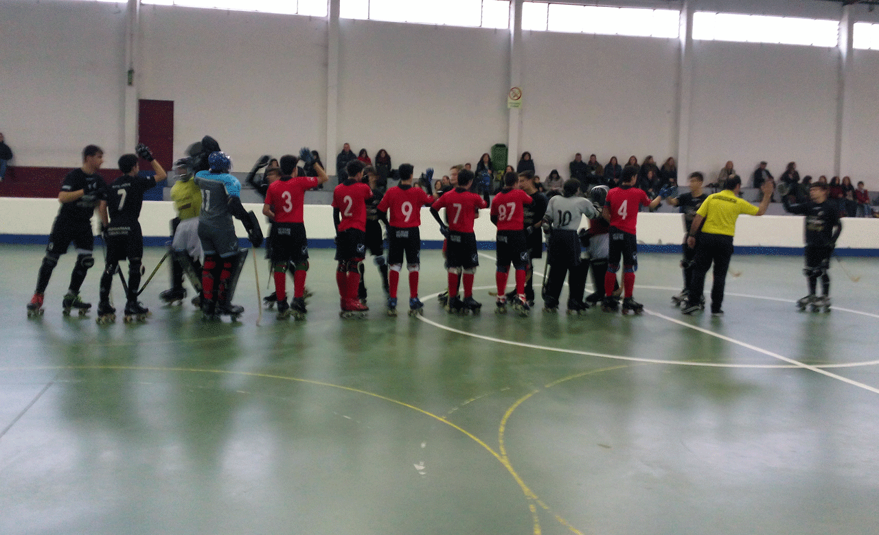 Resumos da jornada do Hóquei da AAE