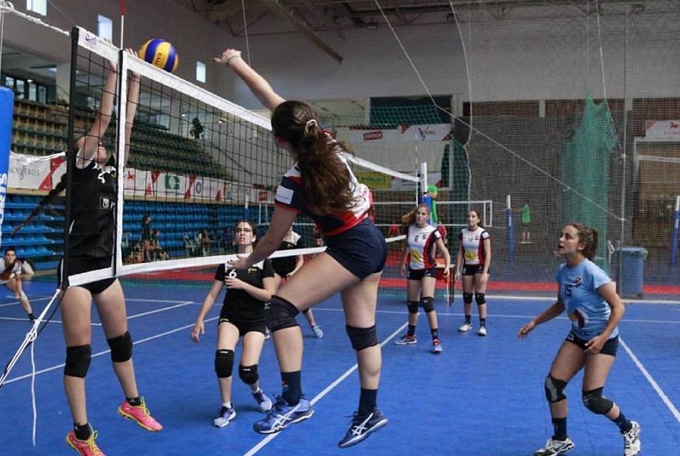 Voleibol: AMB já arrancou com toda a força