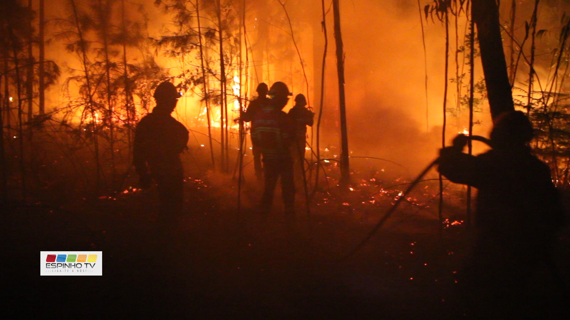 Incêndio em Silvalde controlado pelos Bombeiros do Concelho de Espinho