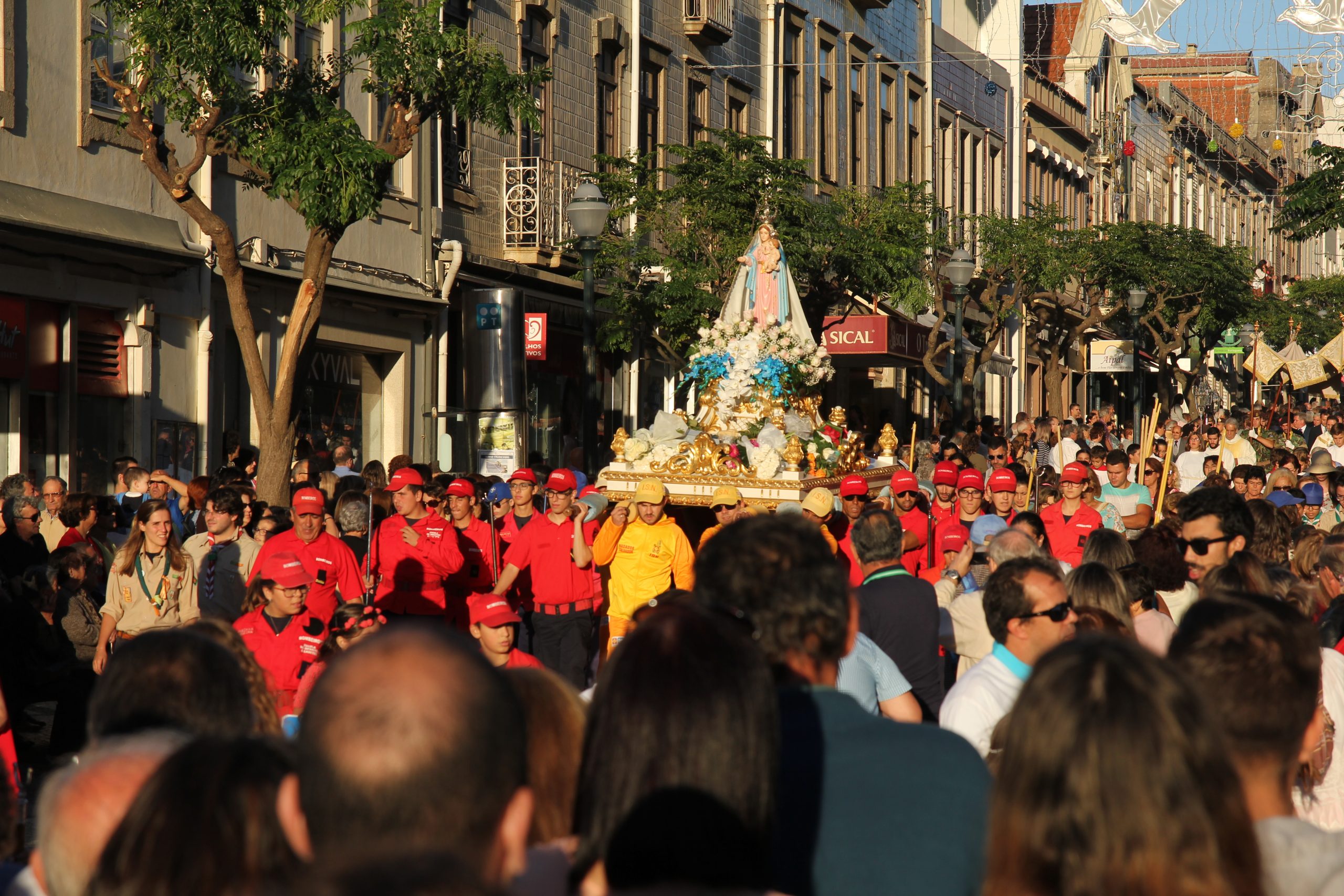 Os melhores momentos da Festa de Nª Srª d’Ajuda 2016