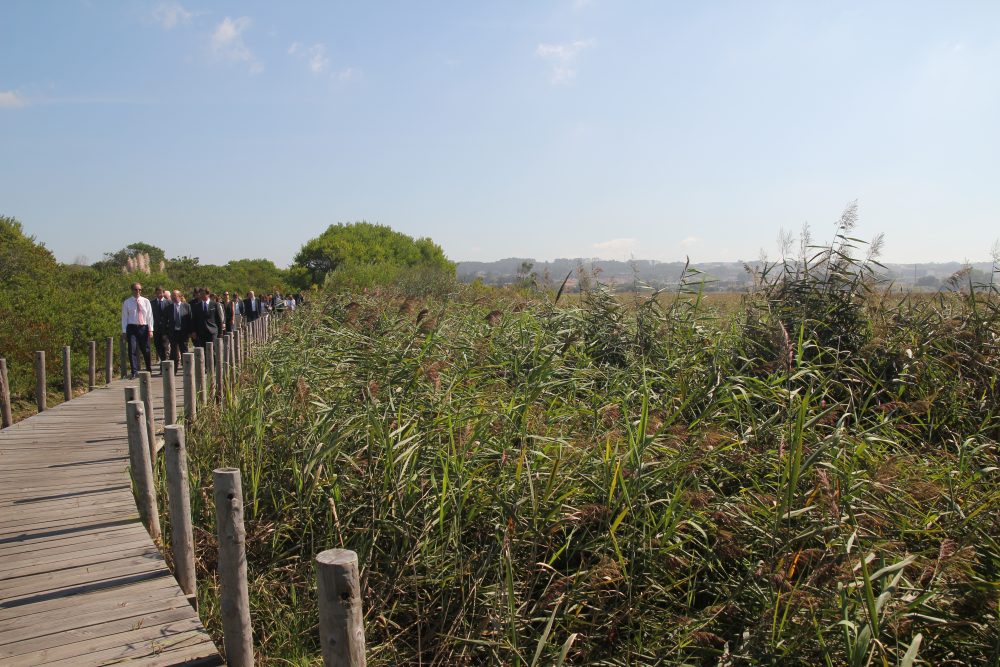 Obra de requalificação da Lagoa de Paramos / Barrinha de Esmoriz já arrancou