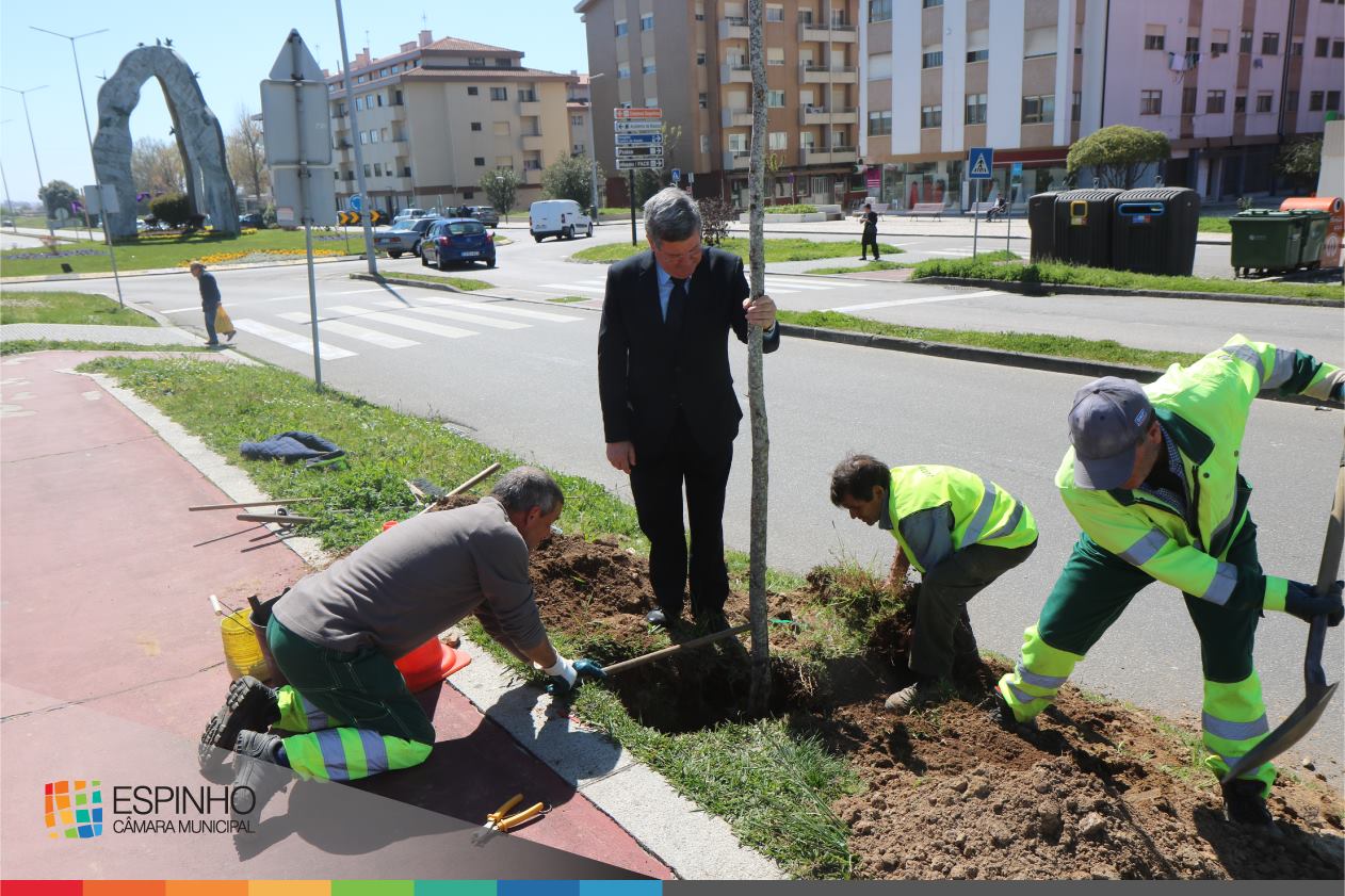 120 árvores plantadas na Avenida 32