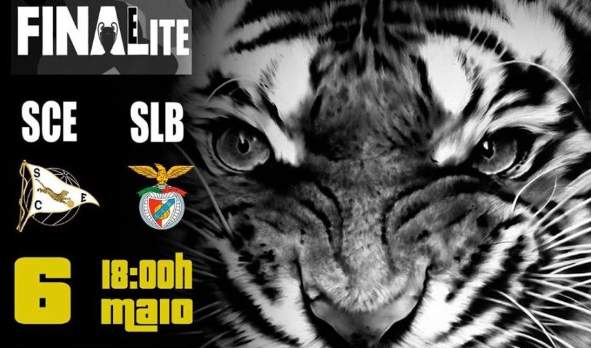 Voleibol: SC Espinho vs SL Benfica (4 jogo)