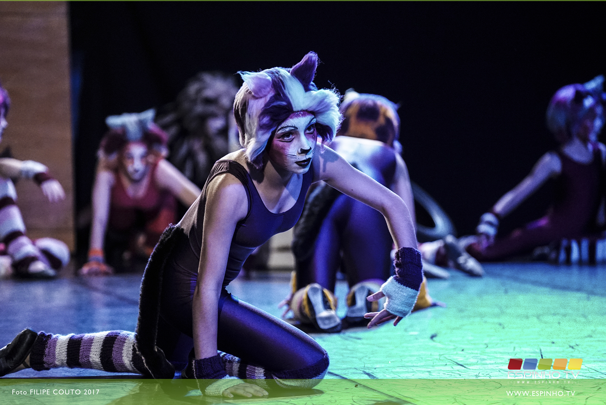 “Cats” pela Escola de Bailado Fátima Costa no Multimeios