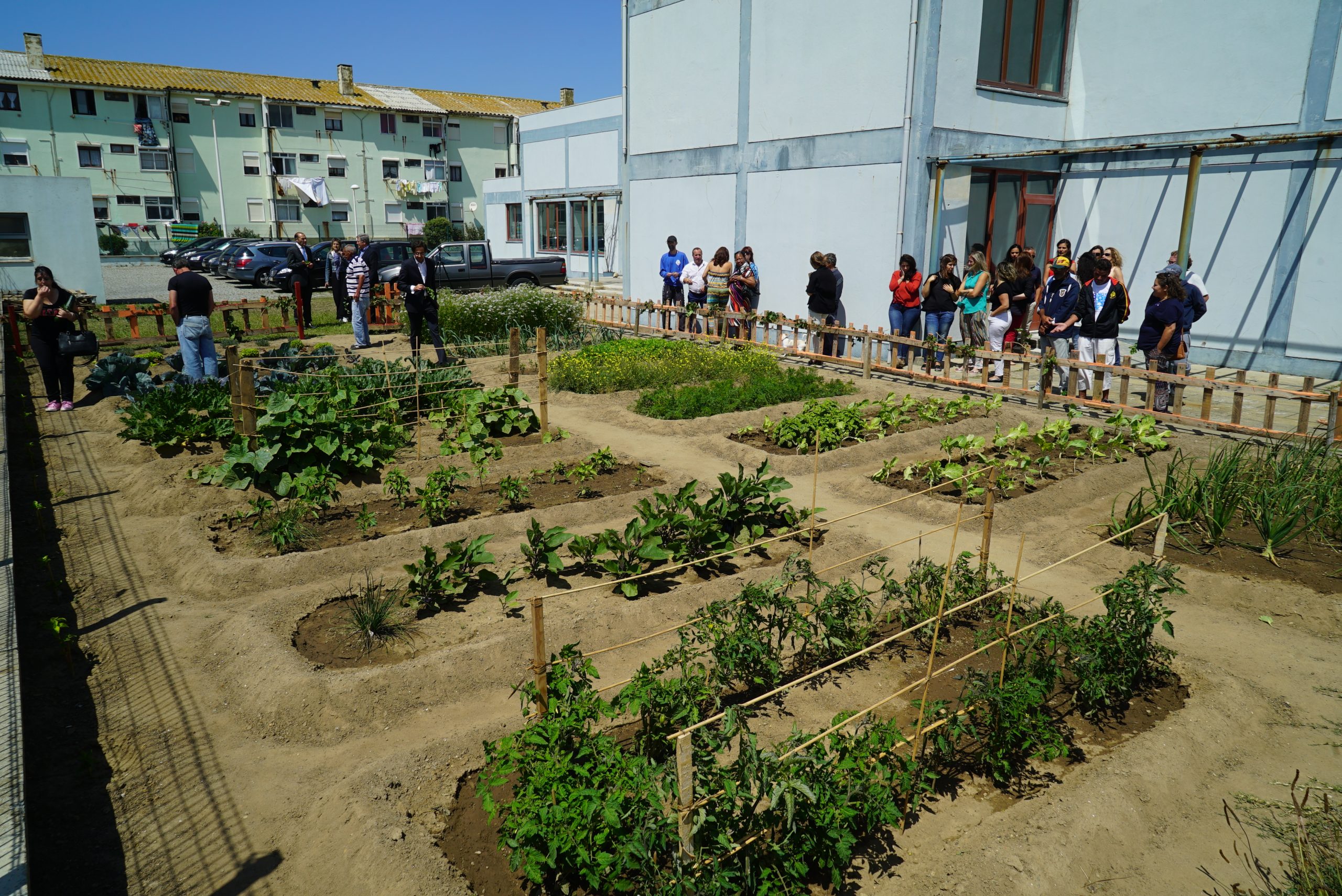 ADCE inaugura Horta Biológica