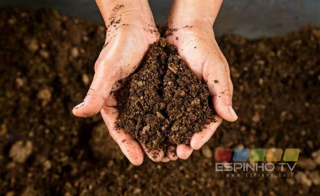 Cooperativa Nascente inicia hoje programa de defesa da sustentabilidade ambiental