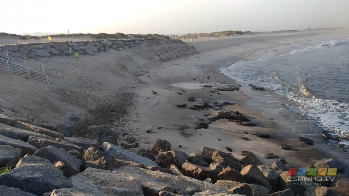 Descobertos vestígios arqueológicos na Praia do Pau da Manobra em Espinho