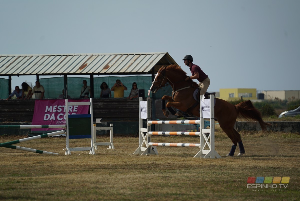 Pole de Saltos de Obstátulos no Hipismo em Paramos