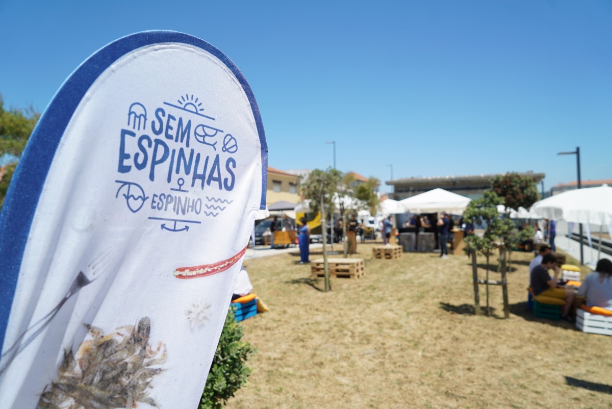1ª edição do Fórum Sem Espinhas