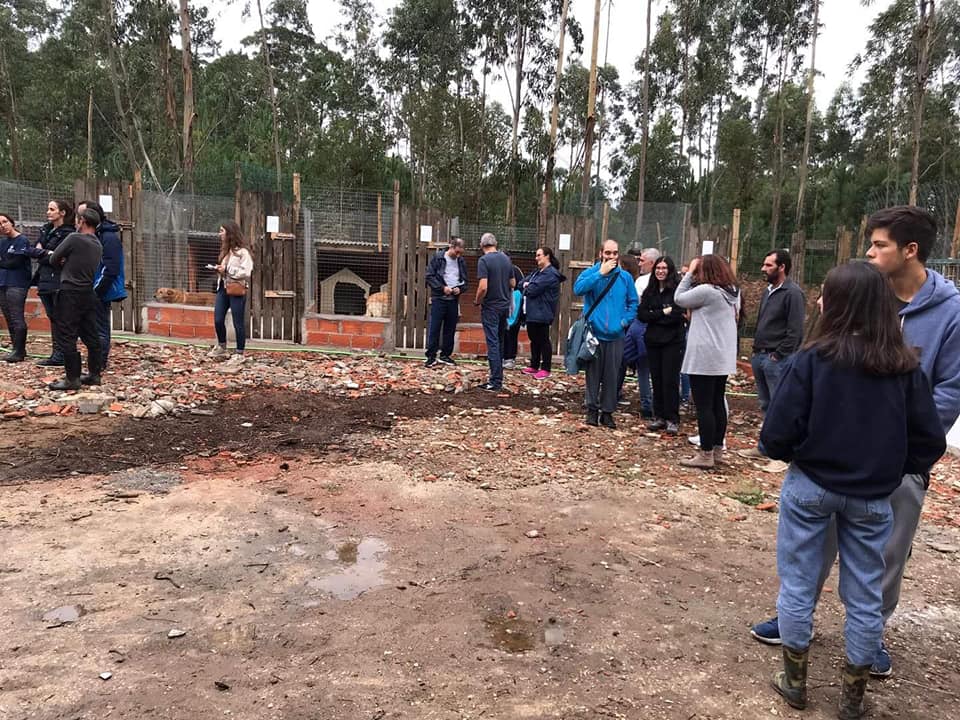 “Patinhas Sem Lar” com nova casa mas ajuda é sempre necessária