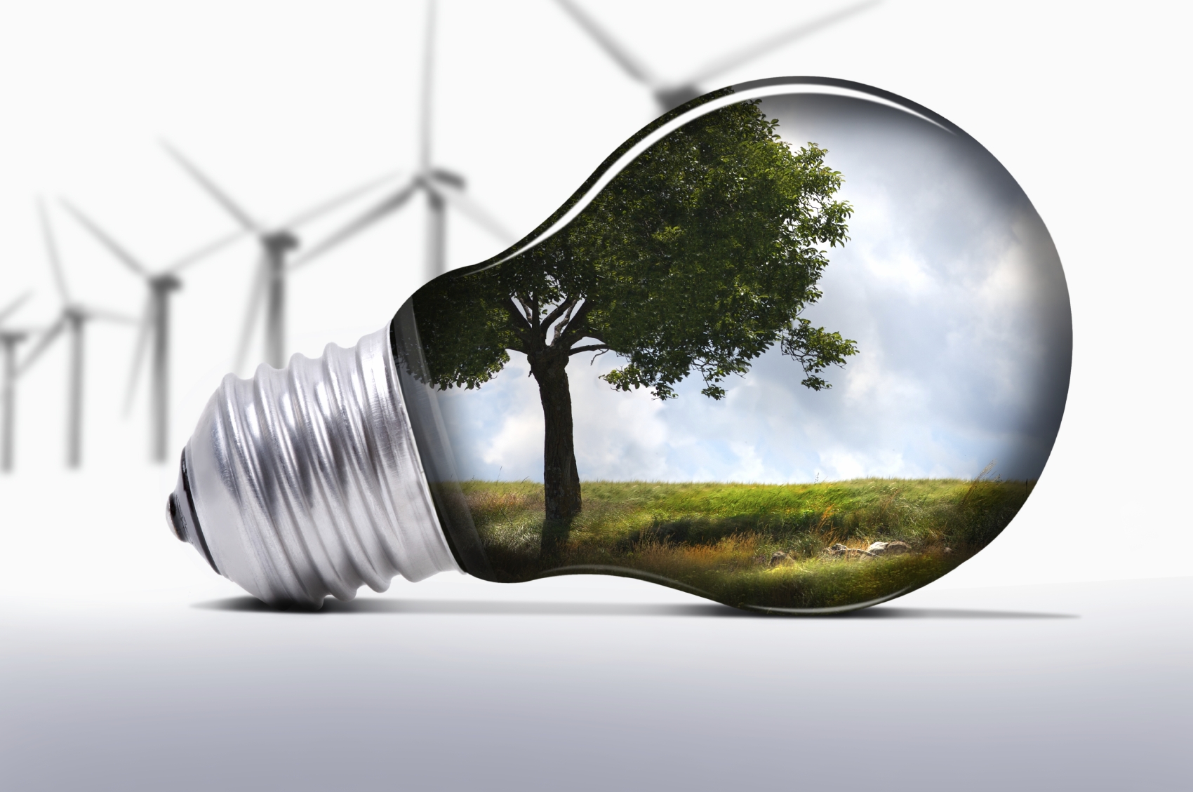 ACIVE organiza Concurso/Exposição de Ideias Verdes – Espinho 2030