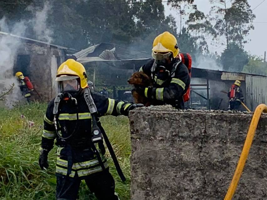 Incêndio numa habitação em Guetim