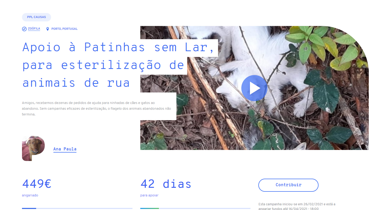 Apoio à Patinhas sem Lar para esterilização de animais de rua