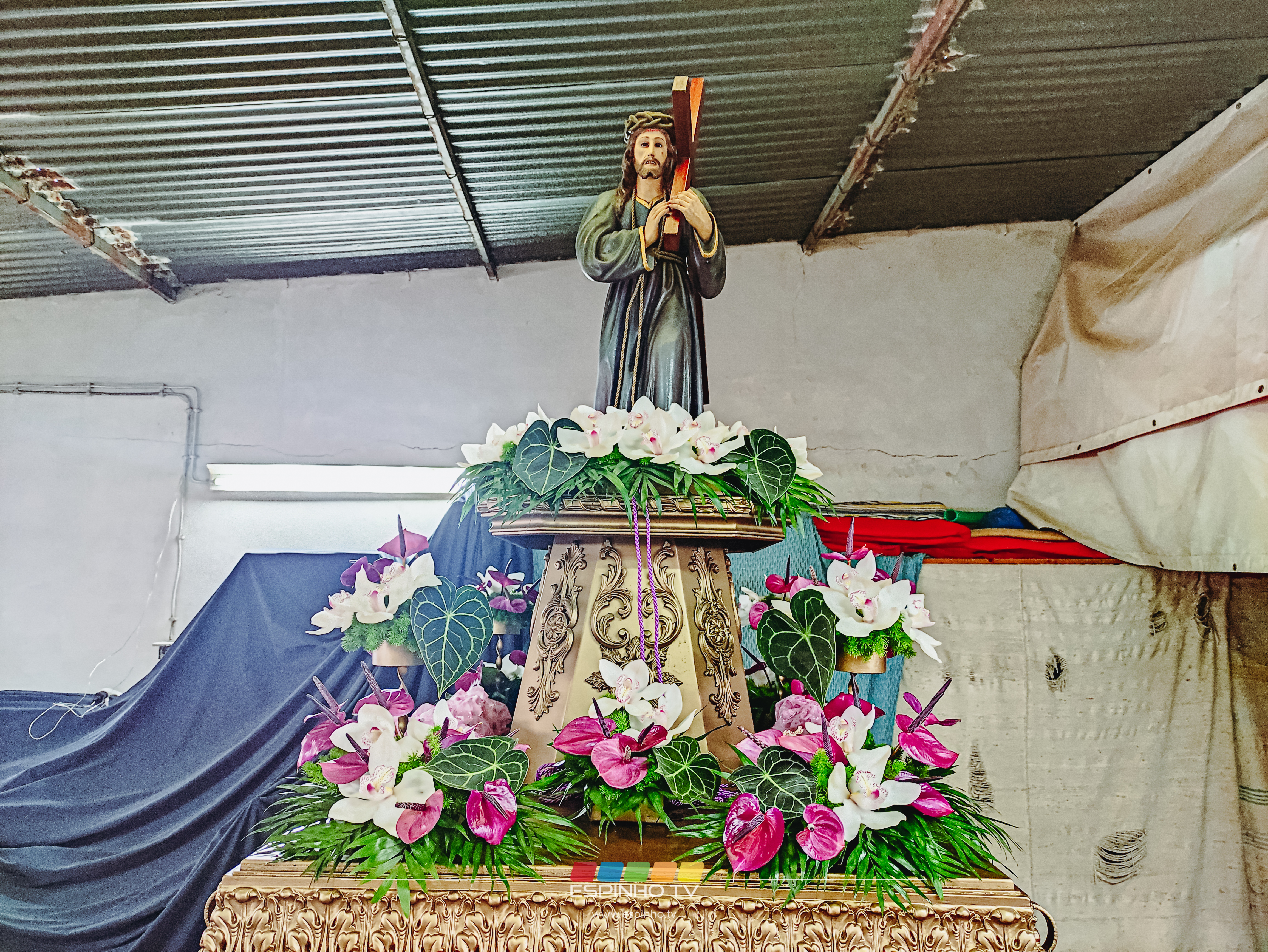 Imagem 6