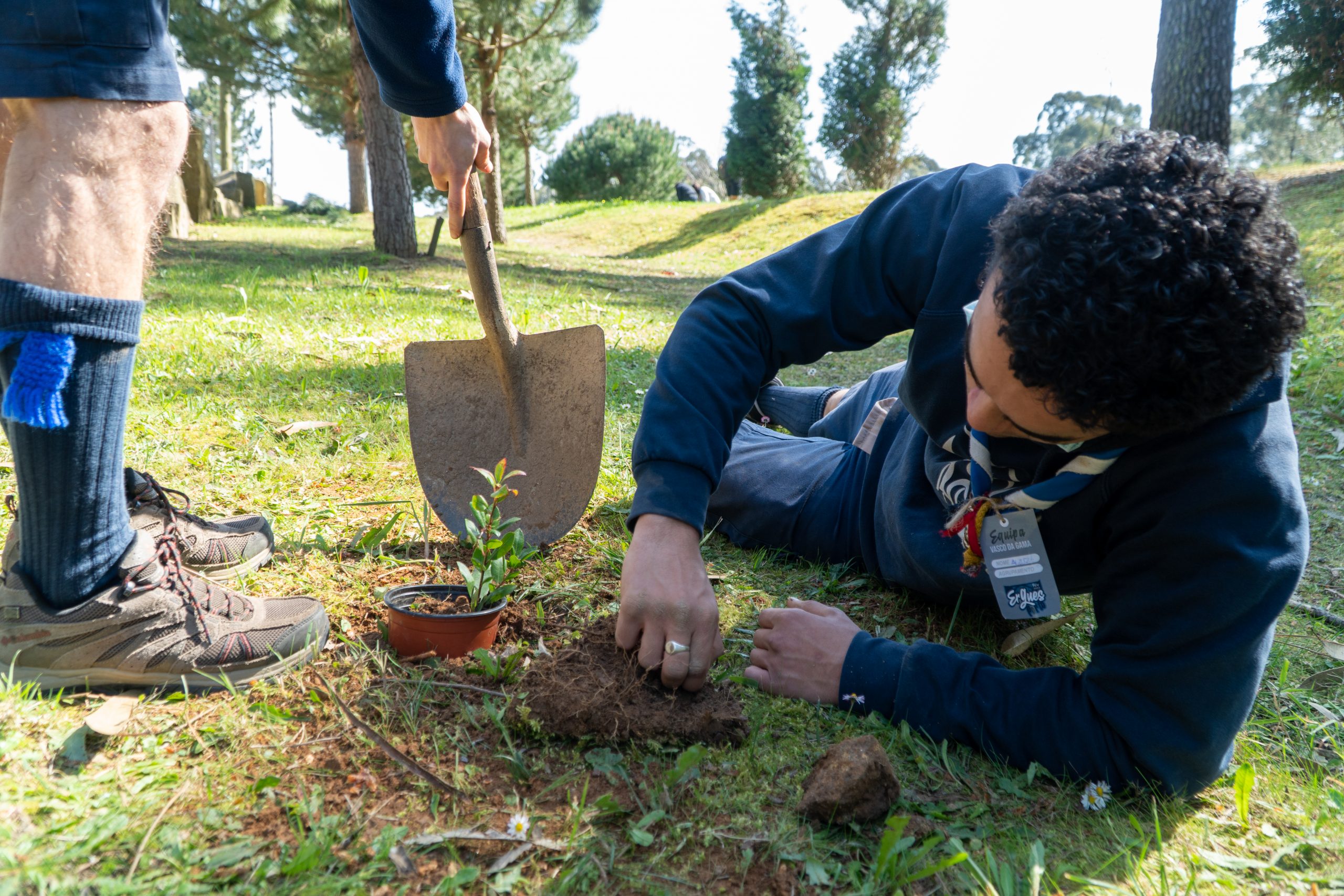 Escuteiros de Anta e Espinho plantaram 110 árvores pelo concelho