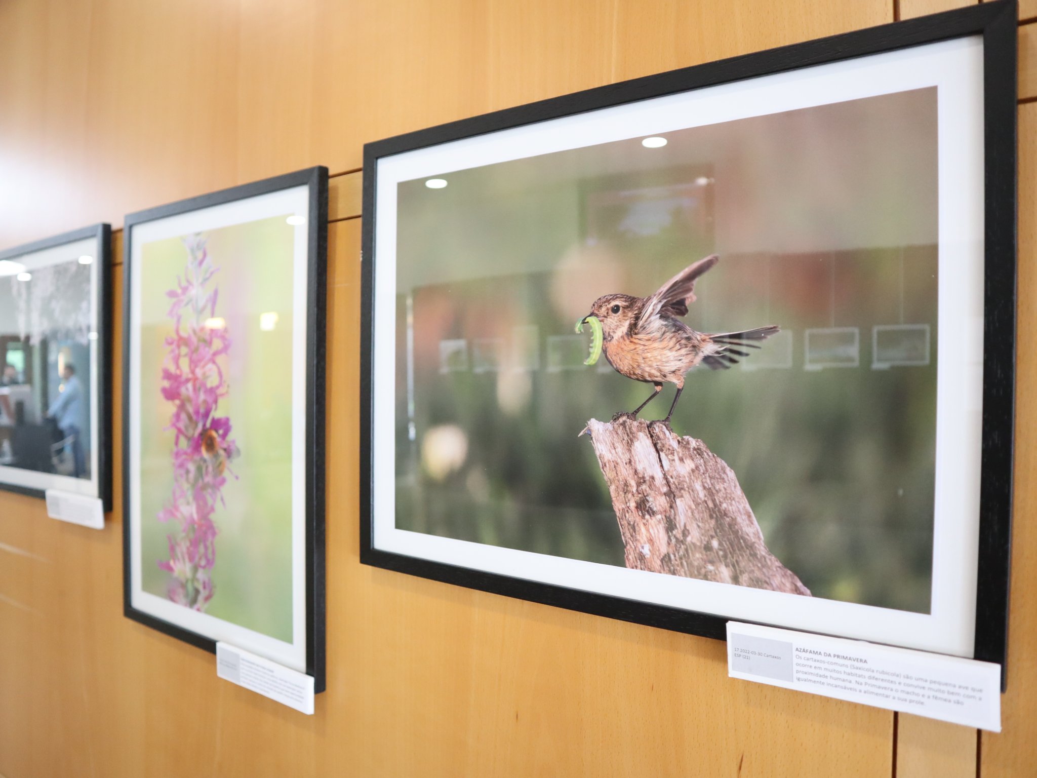 Exposição “Biodiversidade no Concelho de Espinho”