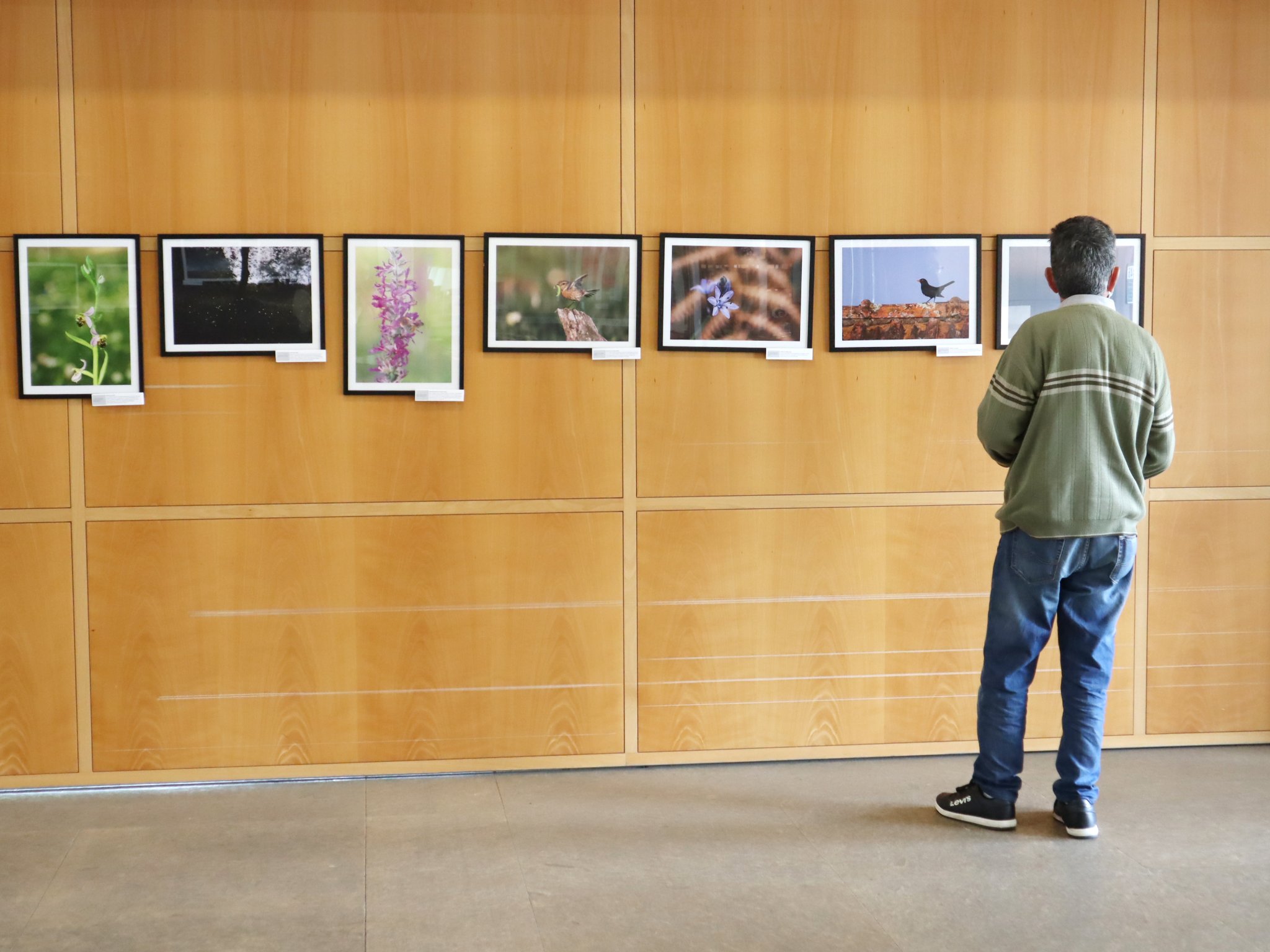 Imagem 7