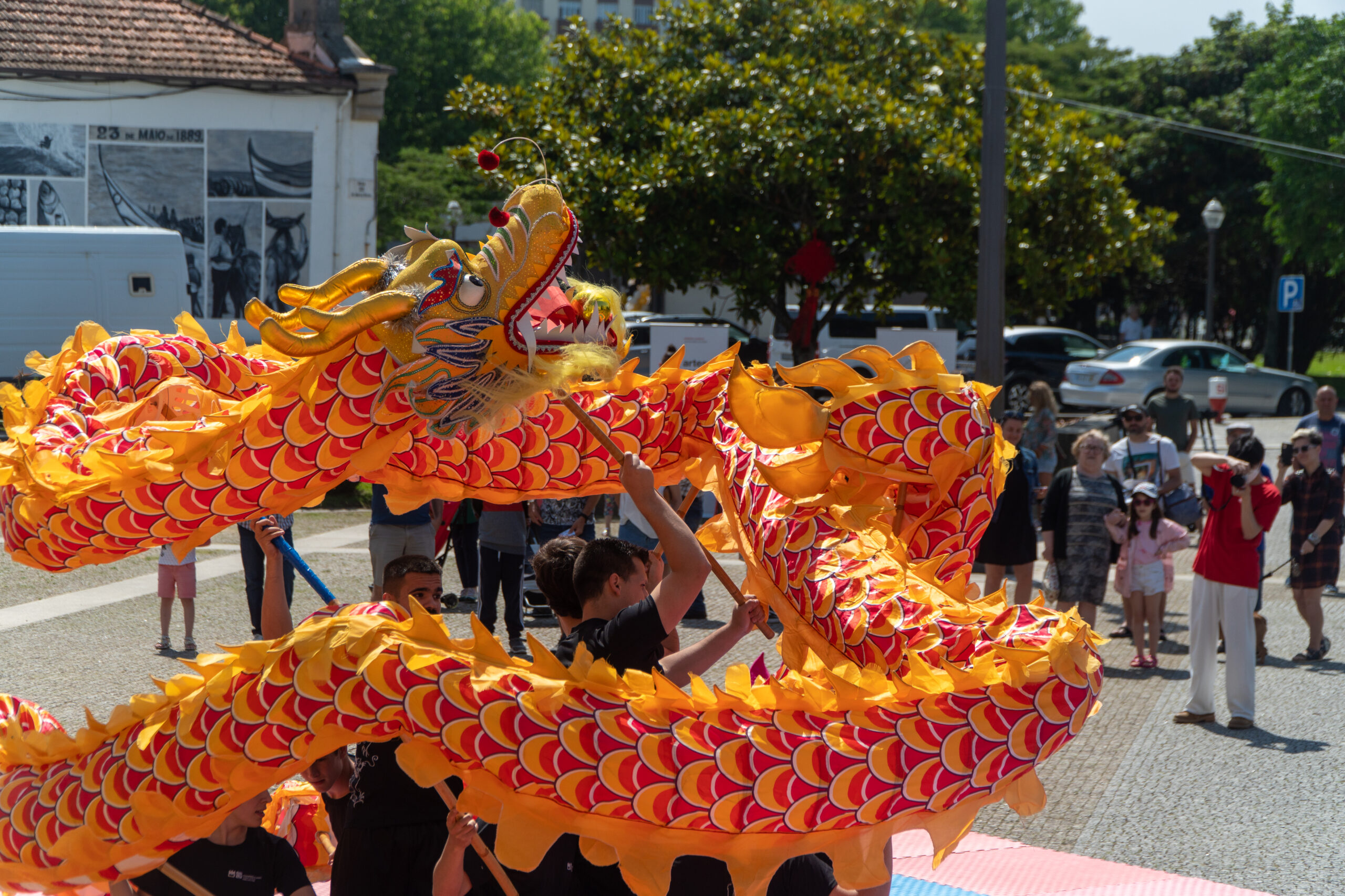 Município de Espinho e o Instituto Confúcio promoveram mostra de cultura chinesa
