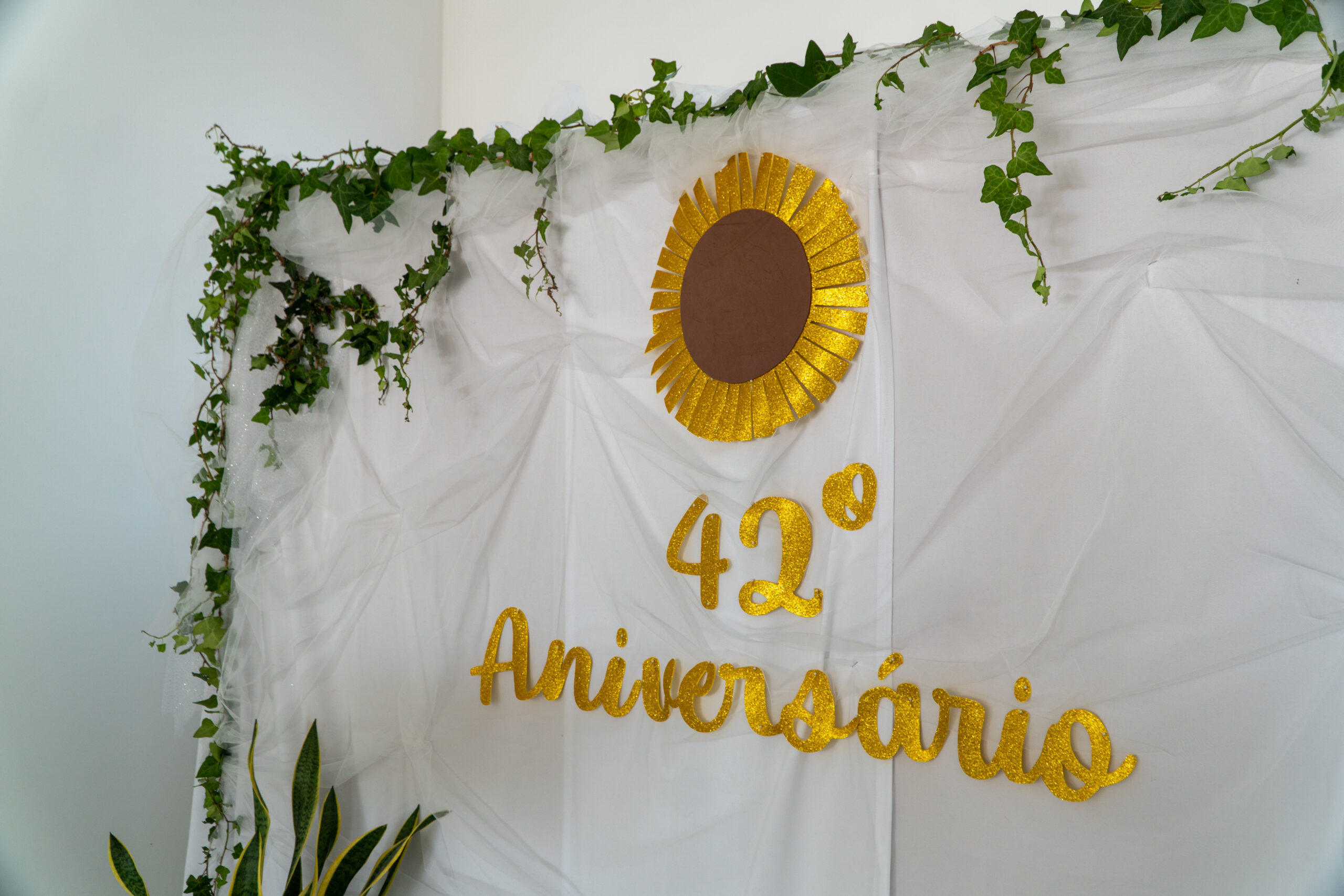 42ºAniversário  do Centro Social de Paramos