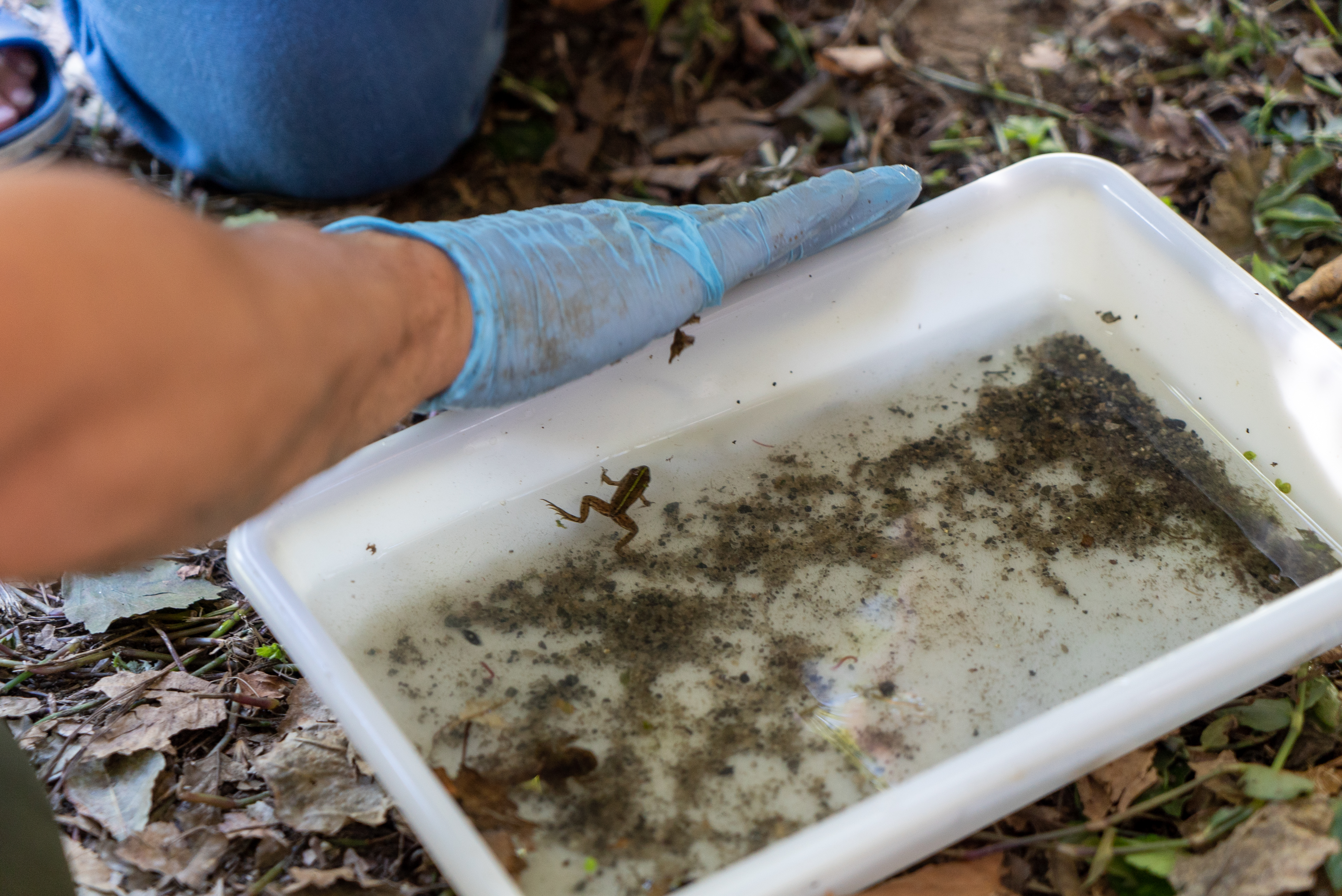 Imagem 18