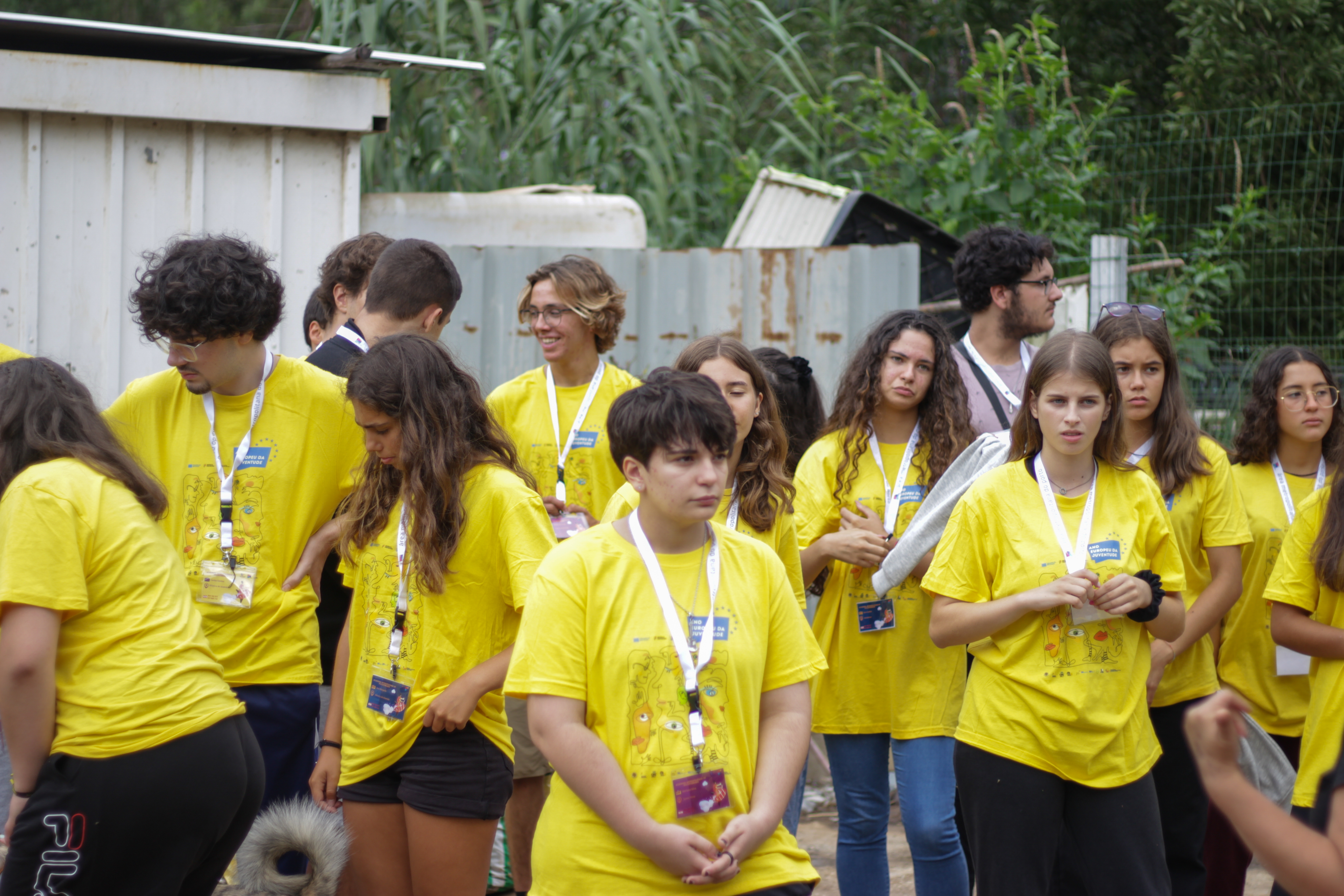 Imagem 16