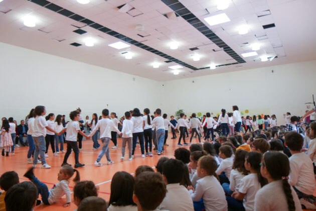 Imagem 5