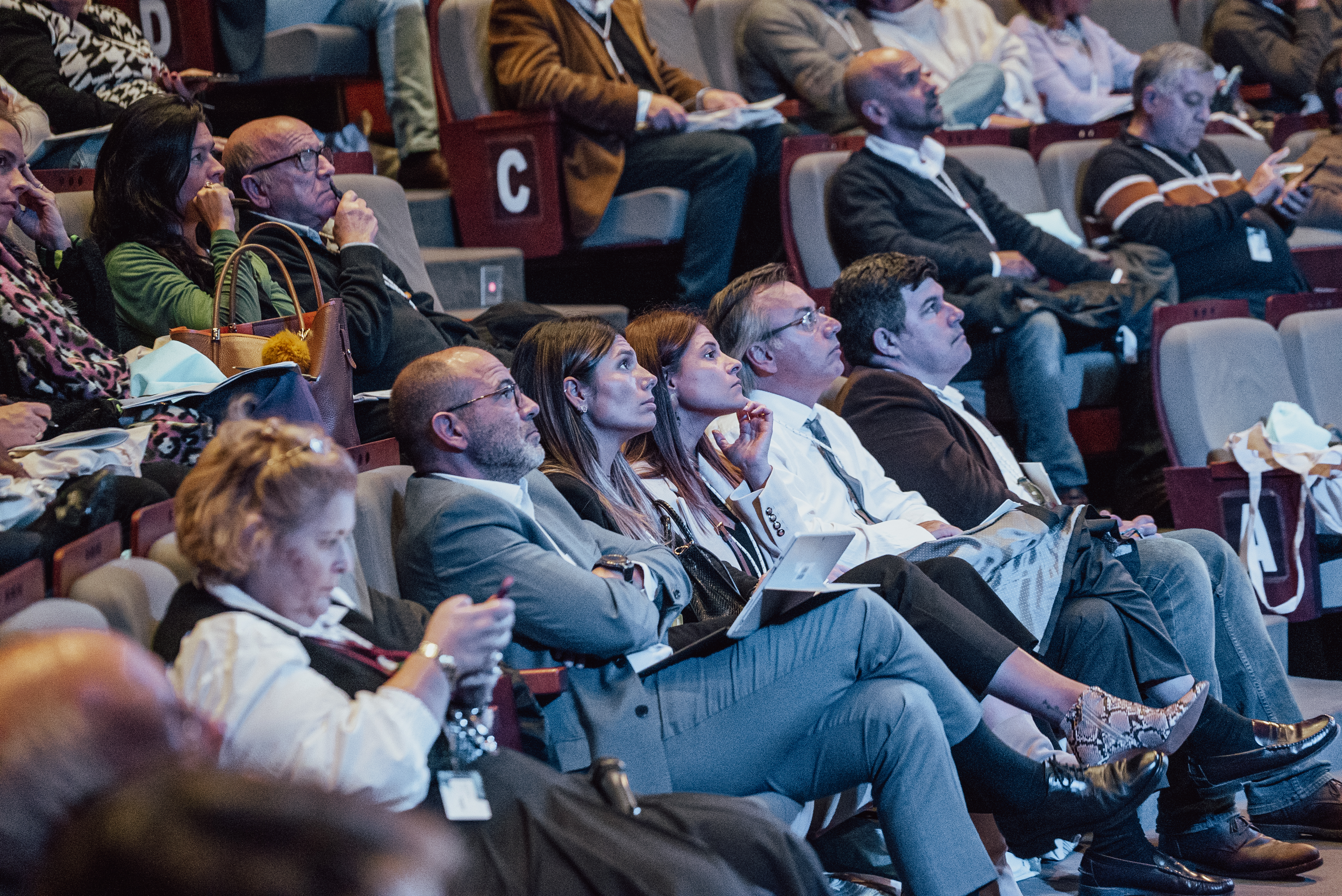 Imagem 13
