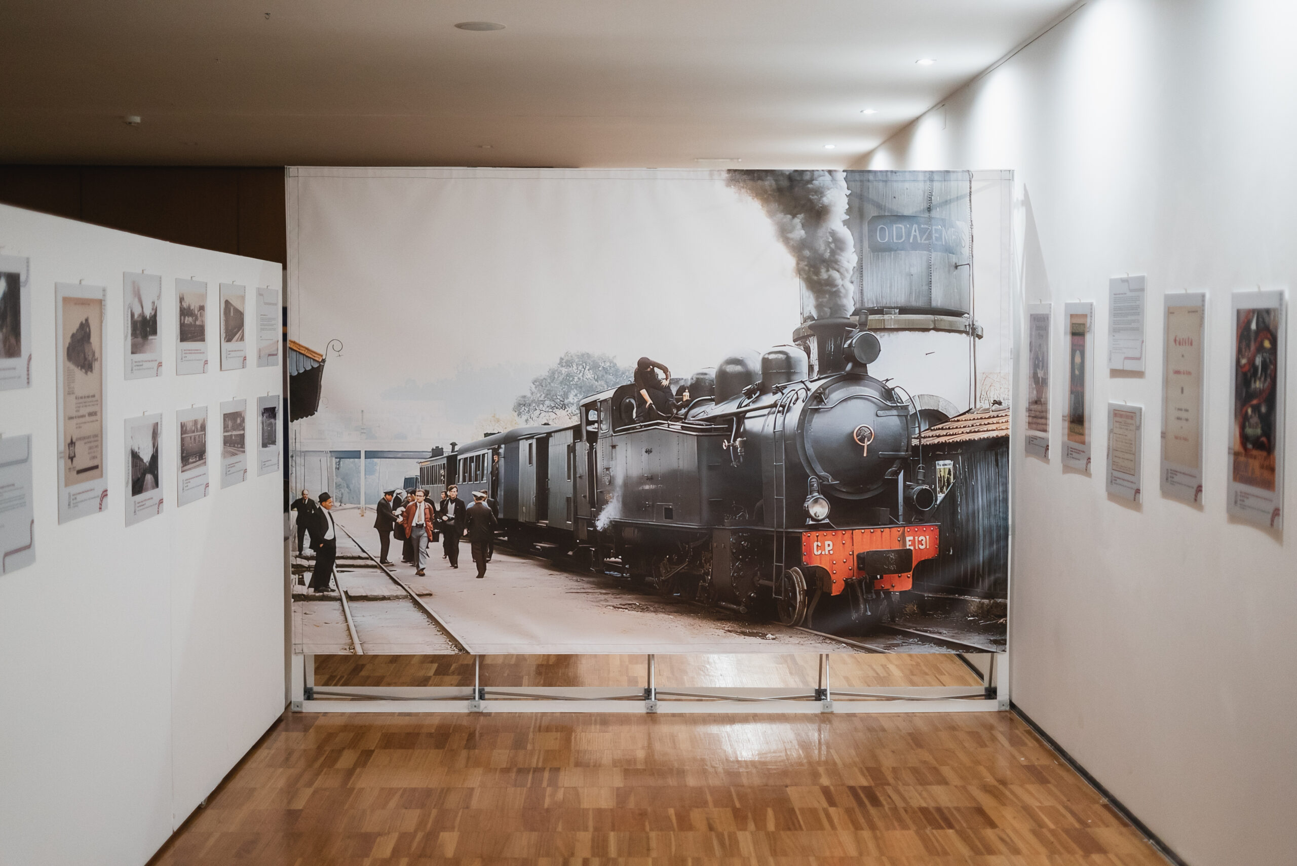 Vouguinha e Linha do Vouga em exposição no Museu de Espinho