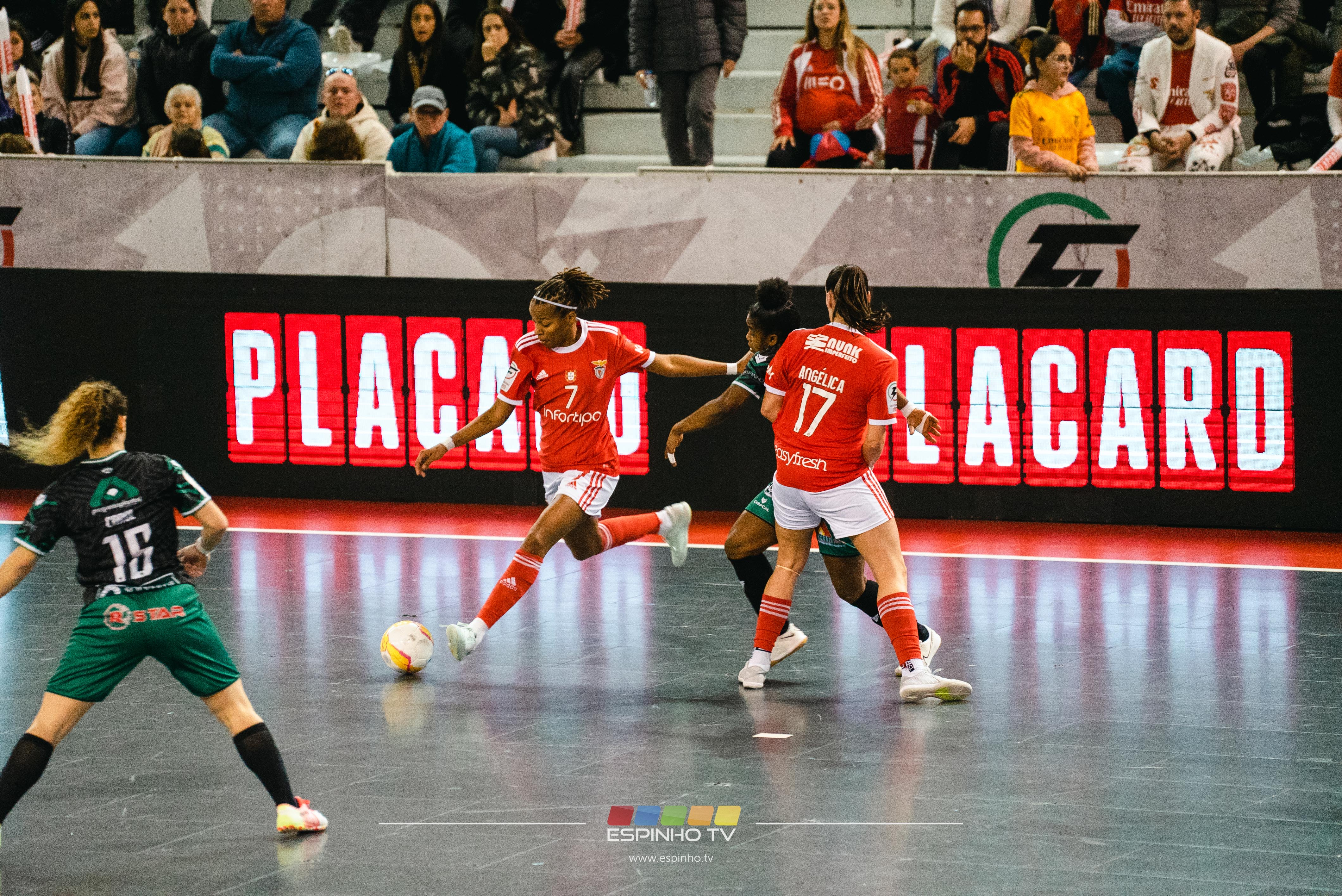 Imagem 15