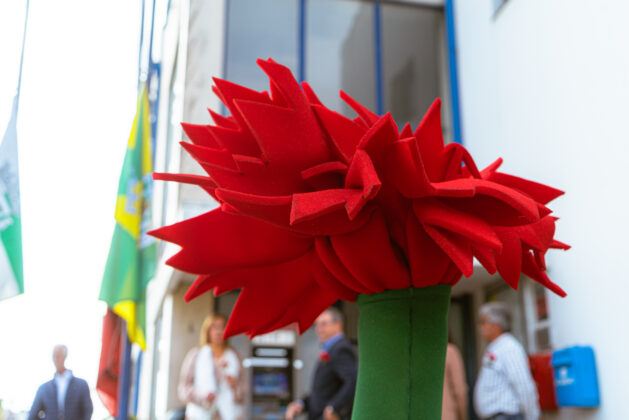 Imagem 8