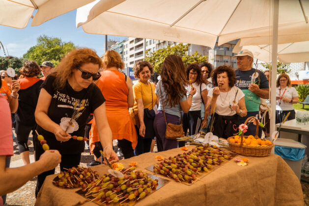 Imagem 8