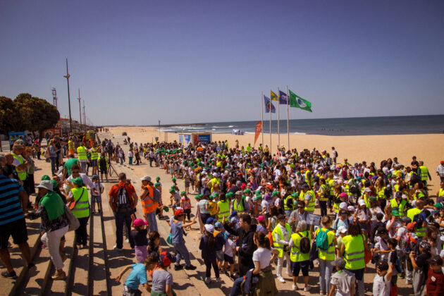 Imagem 14