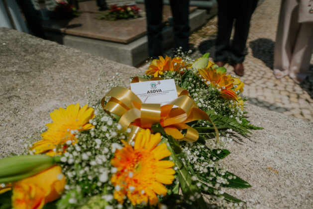 Imagem 9
