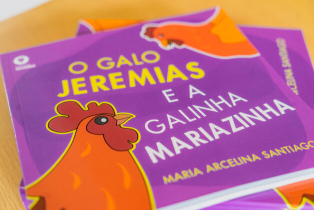 Imagem 6