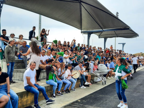 Imagem 11