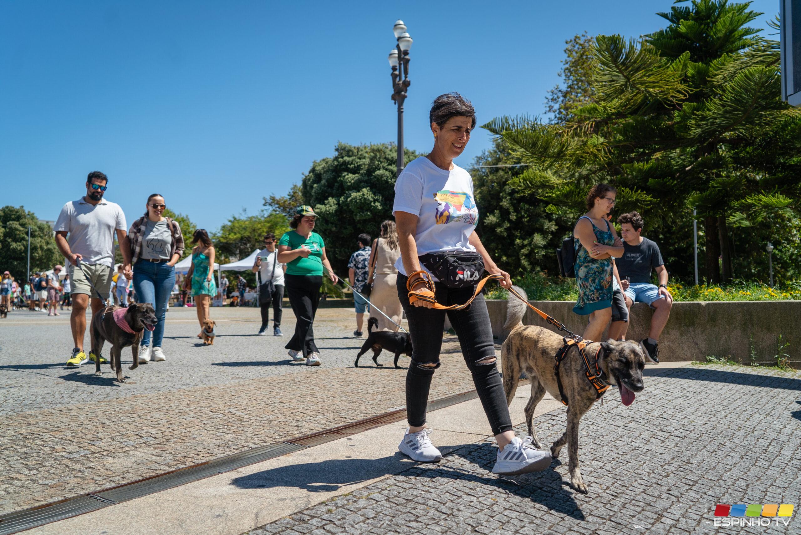 PetFestival reúne amantes dos animais em Espinho