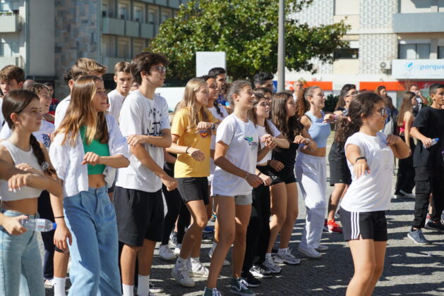 Imagem 12