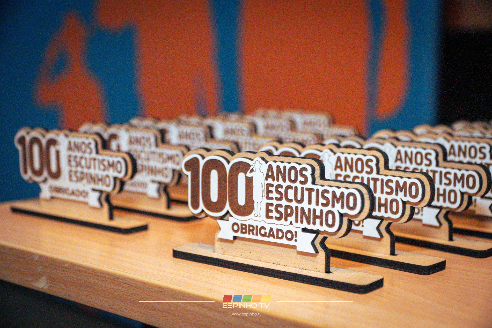 Imagem 11