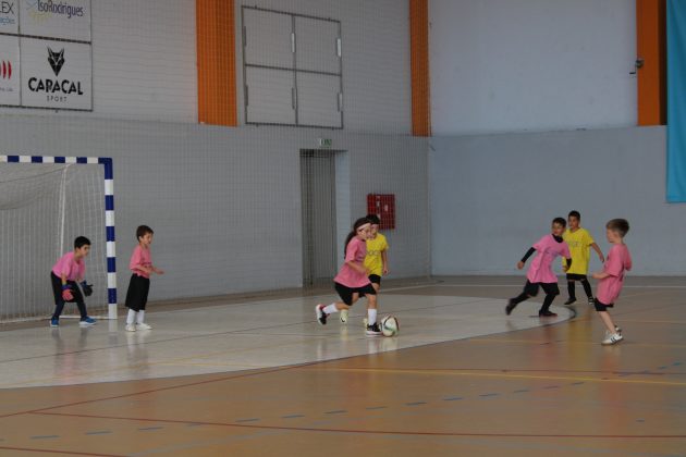 Imagem 13