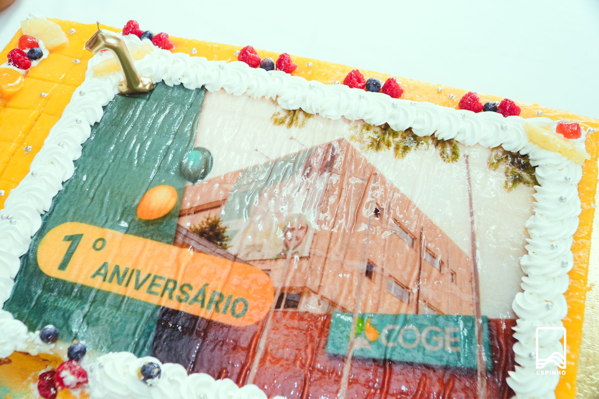Imagem 15