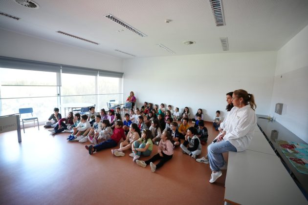 Imagem 8