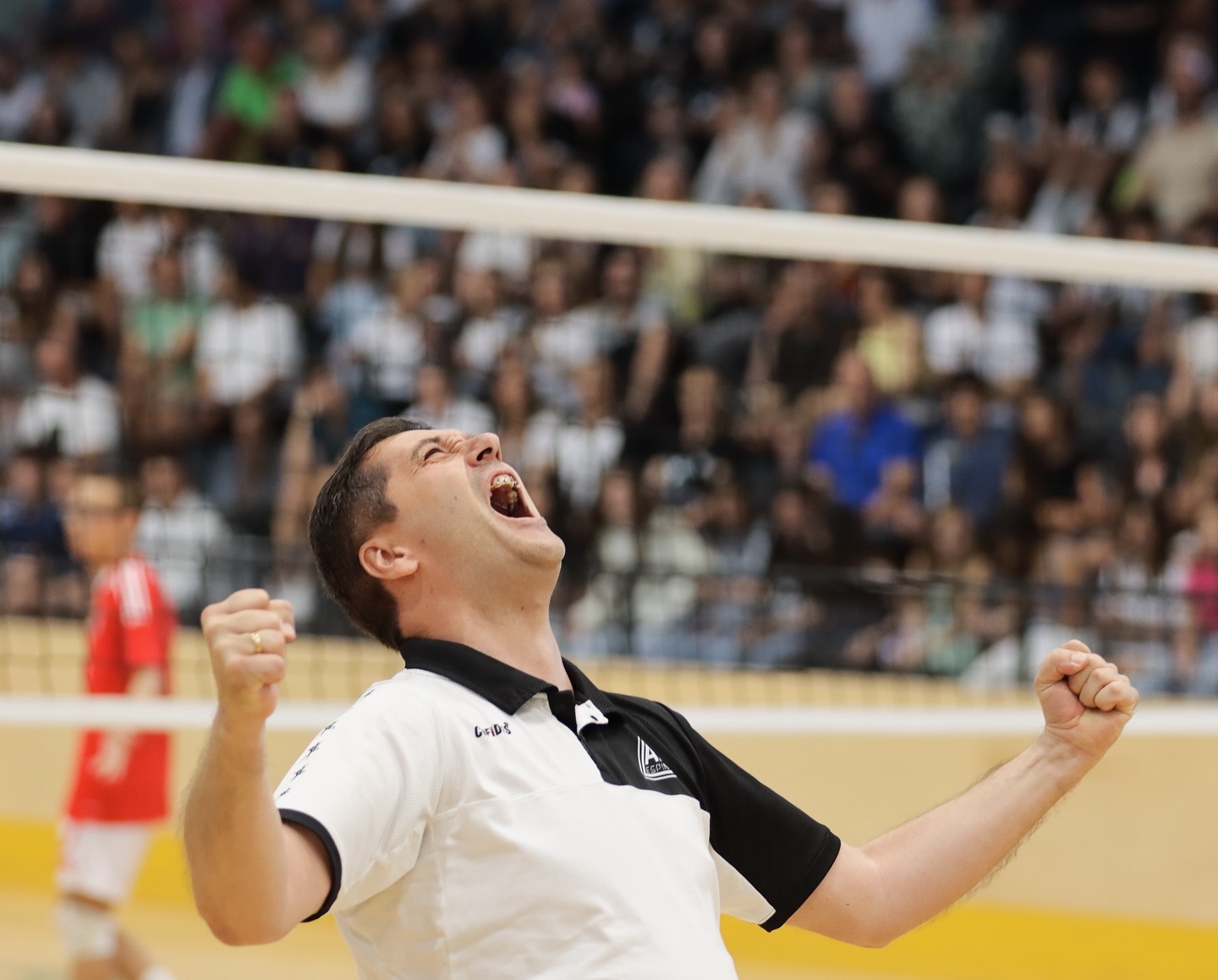Imagem 2