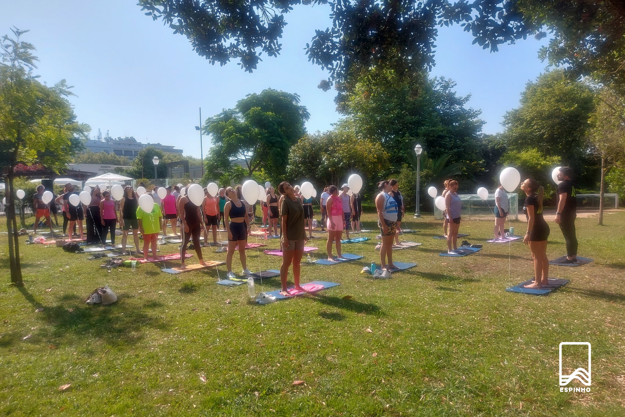 Imagem 13