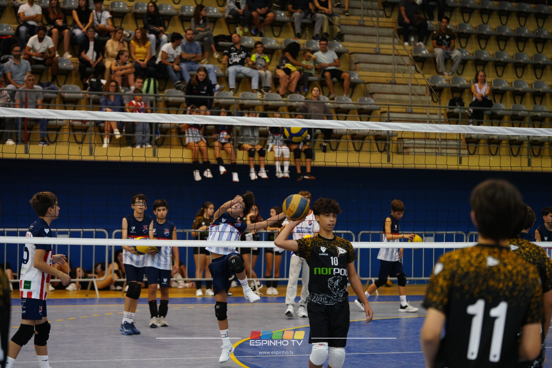 Imagem 22